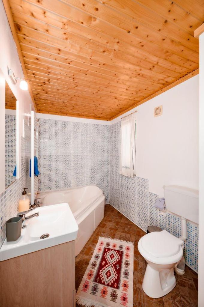 Cabana Mariuca Fundáta Kültér fotó